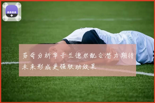 芬奇分析华子兰德尔配合潜力期待未来形成更强联动效果